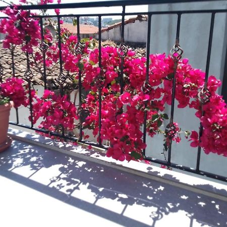 Casa Magnolia Boutique Rooms Κουσάντασι Εξωτερικό φωτογραφία