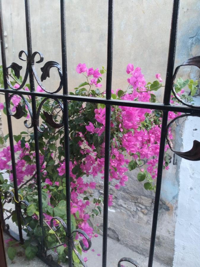Casa Magnolia Boutique Rooms Κουσάντασι Εξωτερικό φωτογραφία