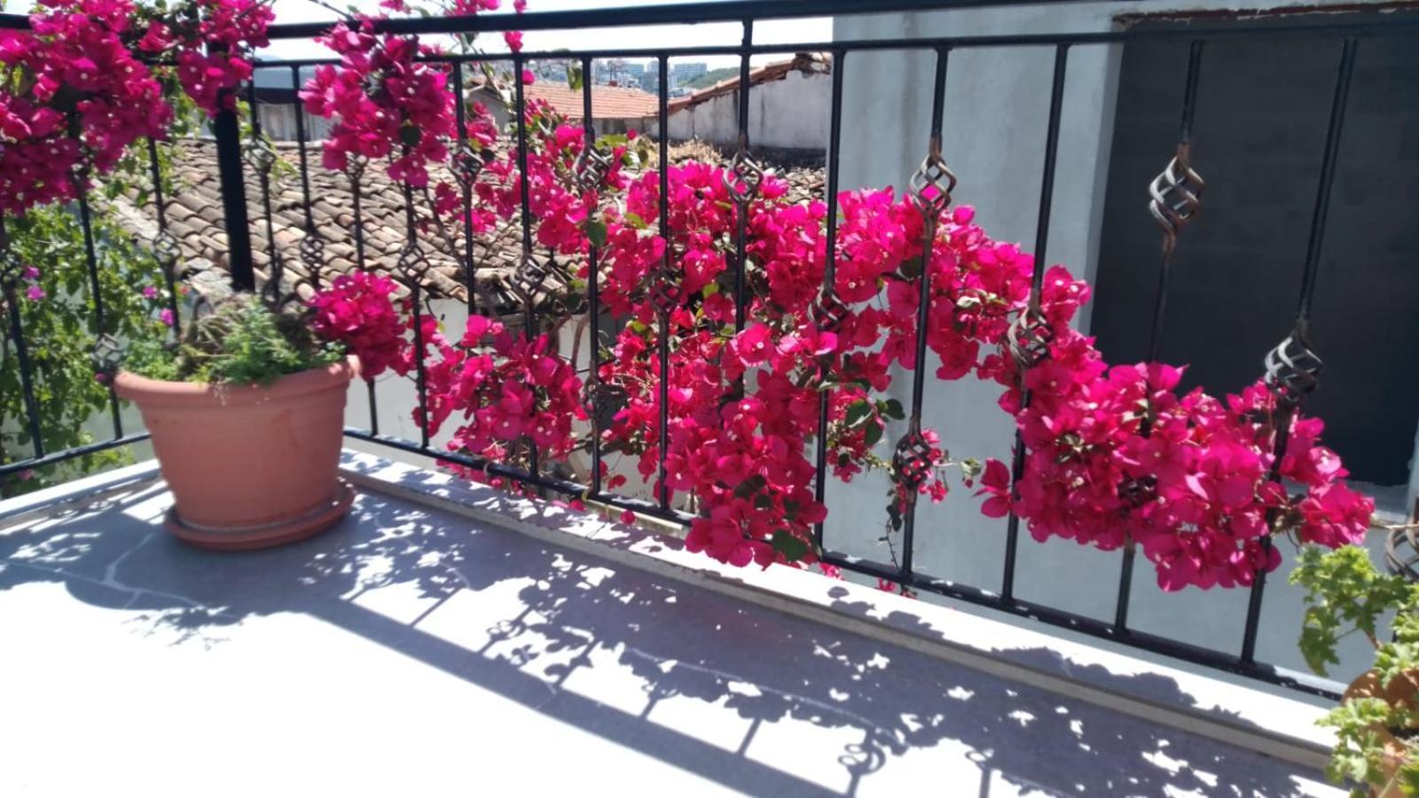 Casa Magnolia Boutique Rooms Κουσάντασι Εξωτερικό φωτογραφία