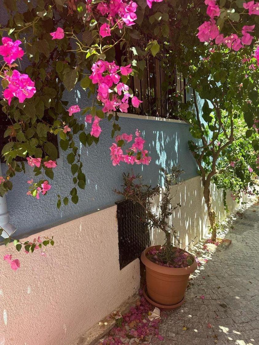 Casa Magnolia Boutique Rooms Κουσάντασι Εξωτερικό φωτογραφία