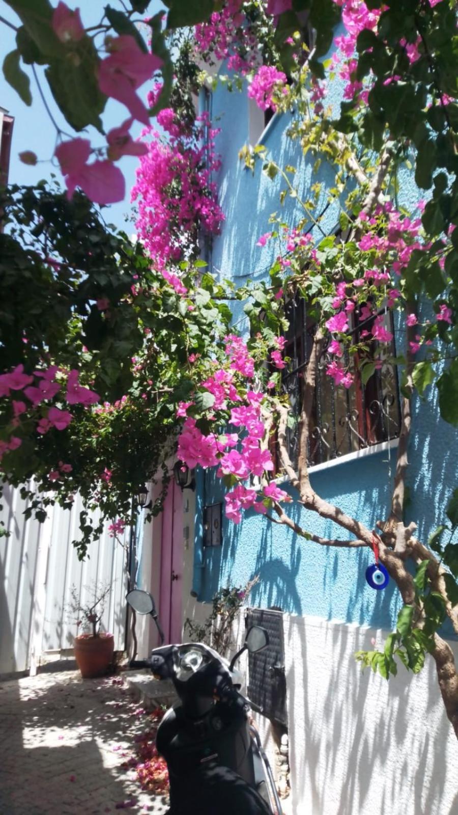 Casa Magnolia Boutique Rooms Κουσάντασι Εξωτερικό φωτογραφία